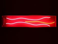 twigs pink neon sign for hire