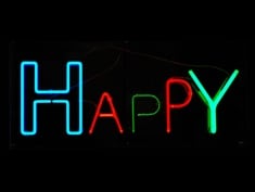 Happy neon to hire