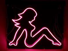 pink lady neon sign